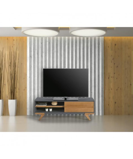 TINA Meuble TV 1 porte - Décor gris ciré - L 130 x P 39 x H 43 cm