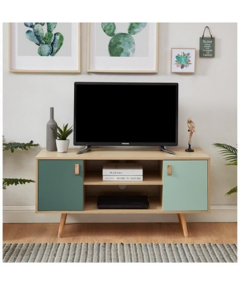 ELISE Meuble TV 2 portes - Style vintage - Chene clair et vert pastel - L 116 x P 39,5 x H 53,5 cm