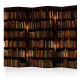 Paravent 5 volets - Bookshelves II [Room Dividers]