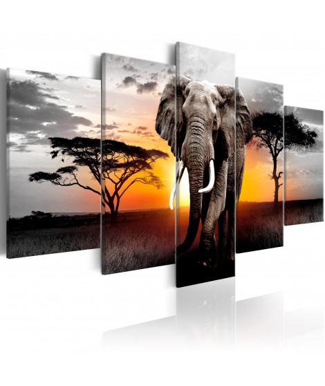 Tableau - Elephant at Sunset