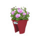 ELHO Bac de balcon Corsica Flower Bridge 30 - Fruits rouges - Extérieur & Balcon - L 29,6 x W 29,6 x H 24 cm