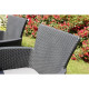 IOWA Fauteuil de jardin aspect rotin tressé Gris