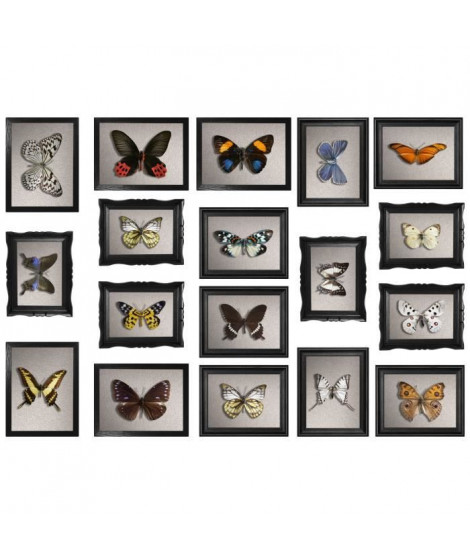 PLAGE Sticker déco Cadres papillons - Planche 48x68 cm
