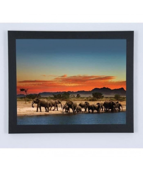 Image encadrée Eléphants et couché de soleil - 67 x 87 cm