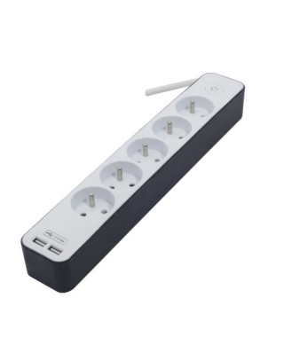 CHACON Bloc multiprise 5 prises 16 A avec 2 ports USB et câble 1,5 m HO5VV-F 3x1,5 mm² blanc et gris