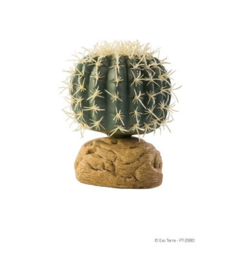 EXO TERRA Décoration Cactus Oursin - Petit modele - Pour les reptiles et les amphibiens