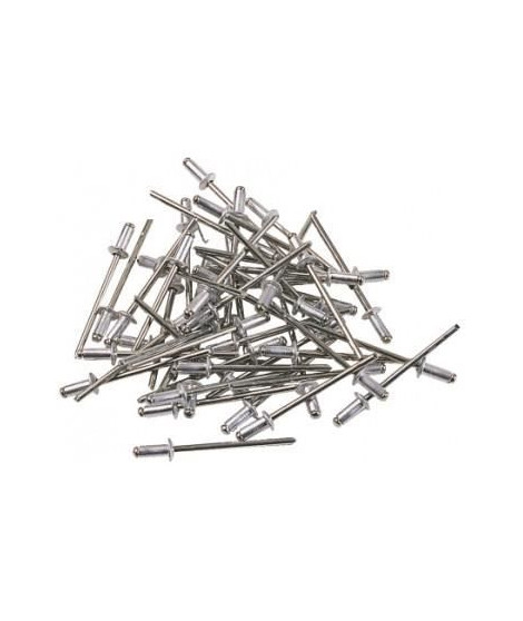 AUTOBEST Sachet  De 200 Rivets 2,4 / 3,2 / 4 / 4,8 mm