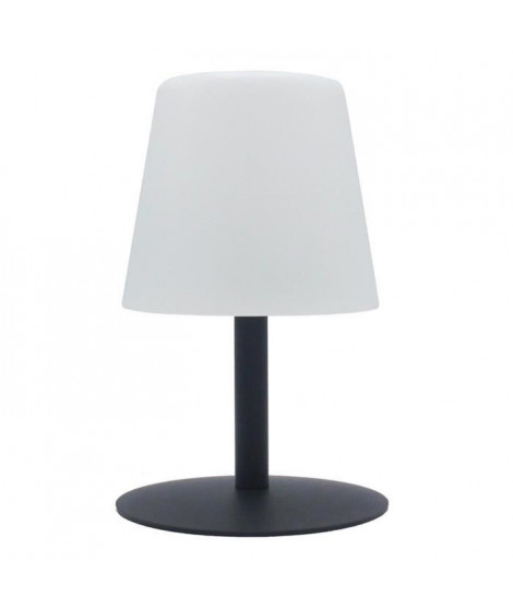 LUMISKY Lampe de table LED sans fil Standy Mini Rock - H 25 cm - Gris et blanc