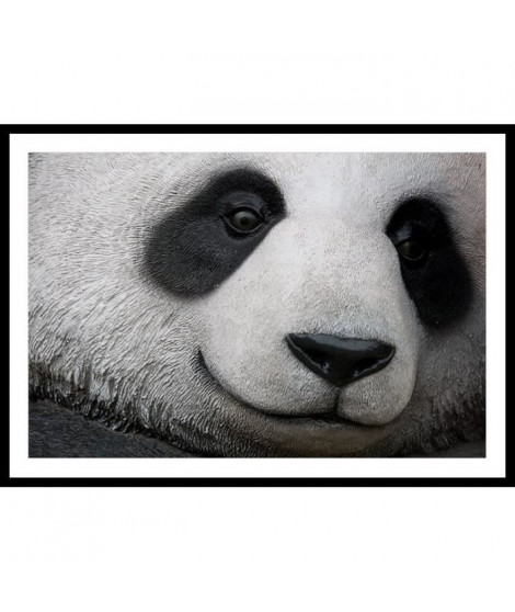 PANDA Affiche encadrée 60x40cm - Panda noir & blanc