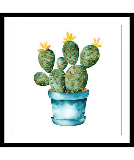 CACTUS Affiche encadrée 50x50cm - Cactus