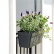 DEROMA Kit de Jardiniere Enjoy a réserve d'eau - 9,6 L - 50 x 16,1 x H 16 cm - Noir anthracite