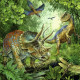 Puzzle 3x49 pcs Fascination Des Dinosaures