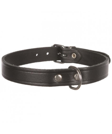 TRIXIE Basic collier - M : 37-43cm / 18mm - Noir - Pour chien