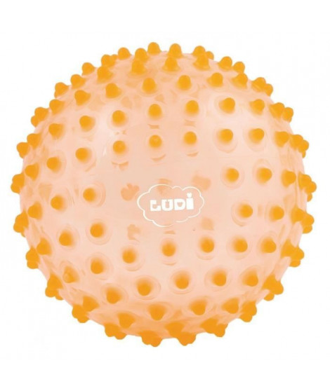 LUDI Balle Sensorielle Orange - Diametre 20 cm