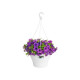 ELHO Pot de fleurs a suspendre Corsica 30 - Blanc - Extérieur & Balcon - Ø 29,4 x H 21,1 cm