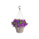 ELHO Pot de fleurs a suspendre Corsica 30 - Taupe - Extérieur & Balcon - Ø 29,4 x H 21,1 cm