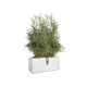 ELHO Jardiniere a roulettes Vivo 90 - Finition mate - Blanc - Intérieur & extérieur - L 39 x W 88 x H 41 cm