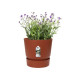 ELHO Pot de fleurs rond Greenville 25 - Extérieur - Ø 24,48 x H 23,31 cm - Marron brique