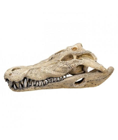 VADIGRAN Aqua Deco Crâne de crocodile - 26 x 14 x 9 cm