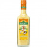 Punch Pinacolada 18° 70 Cl Dormoy