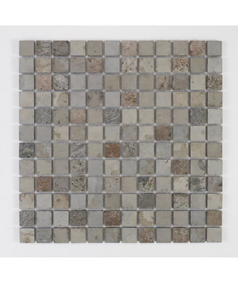 U-TILE Mosaique en pierre naturelle 30 x 30 cm - carreau 2,5 x 2,5 cm - mixte beige