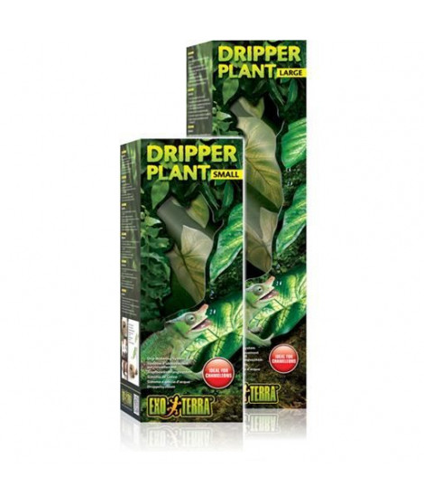 Water Dripper Plant Large - Exo Terra
