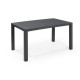 Table imitation bois ALLIBERT 4 a 6 personnes JULIE Graphite