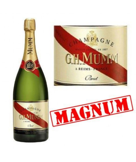 Magnum Mumm Brut x1