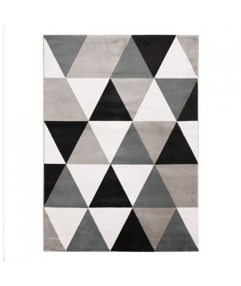 TAO SCANDI Tapis de salon - 120 x 170 cm - Polypropylene - Noir