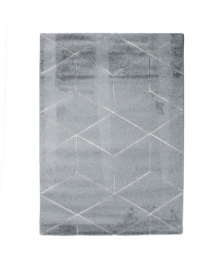 DIAMS Tapis de salon - 120 x 170 cm - Polypropylene - Gris clair