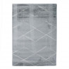 DIAMS Tapis de salon - 120 x 170 cm - Polypropylene - Gris clair