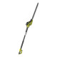 RYOBI Taille-haies sur perche 450W - Lame 45 cm