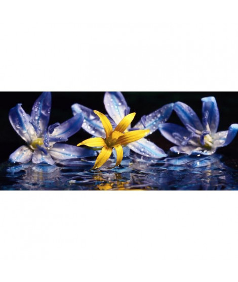INNOVA Décoration murale Glass'art - 50 x 120 cm - Lillies with water