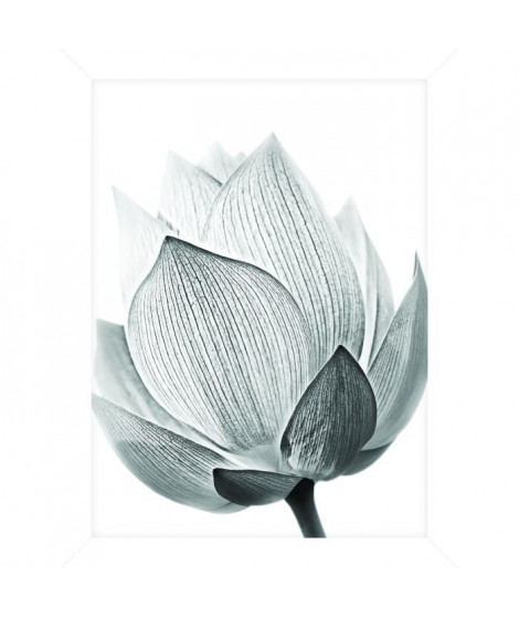 Cadre pour coffre ou étagere Fleur Gris 2 - 18 x 24 cm - Blanc et noir