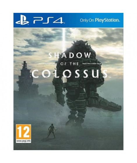 Shadow of the Colossus Jeu PS4