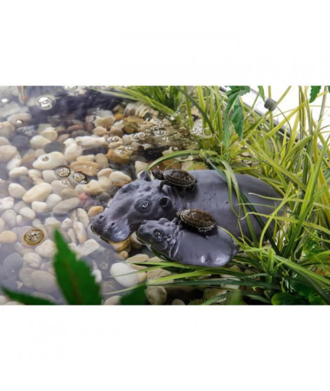 EXO-TERRA Hippo turtle Island - Pour reptile ou amphibien