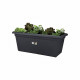 ELHO Jardiniere Green Basics 80 - Vivre noir - Extérieur - XXL - L 39 x W 78 x H 34,2 cm