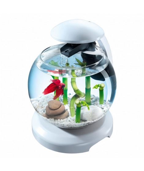 Aquarium Tetra Cascade Globe Blanc