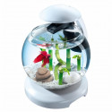 Aquarium Tetra Cascade Globe Blanc