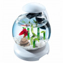 Aquarium Tetra Cascade Globe Blanc