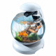 Aquarium Tetra Cascade Globe Blanc