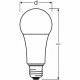 OSRAM Ampoule LED Standard dépolie radiateur variable - 21W équivalent 150W E27 - Blanc chaud