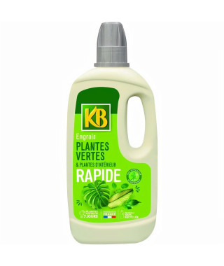 Engrais Rapide Plantes Vertes Et Plantes D'intérieur 1L