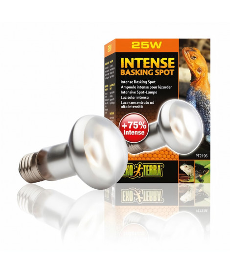 EXOTERRA Lampe Intense Baskingspot 25W - Pour terrarium