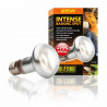 EXOTERRA Lampe Intense Baskingspot 25W - Pour terrarium