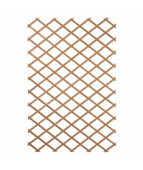 NATURE Treillis extensible en bois naturel 100x200cm - Marron