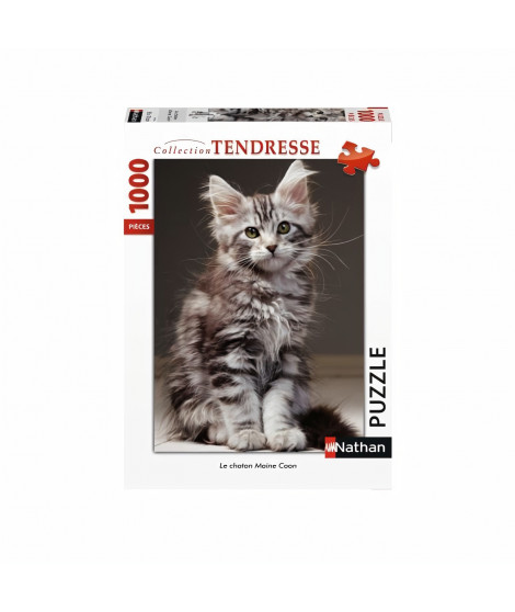 Puzzle N 1000 p - Le chaton Maine Coon