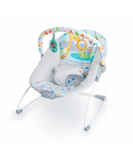 Bright Starts transat pour bébé - vibrant - safari fun