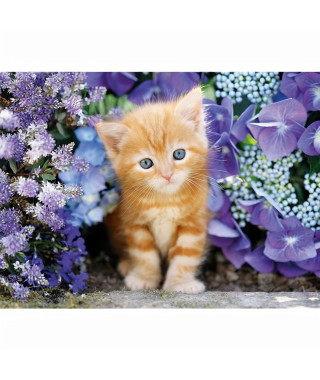 CLEMENTONI - 30415 - 500 pieces - Ginger cat in flowers