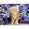 CLEMENTONI - 30415 - 500 pieces - Ginger cat in flowers